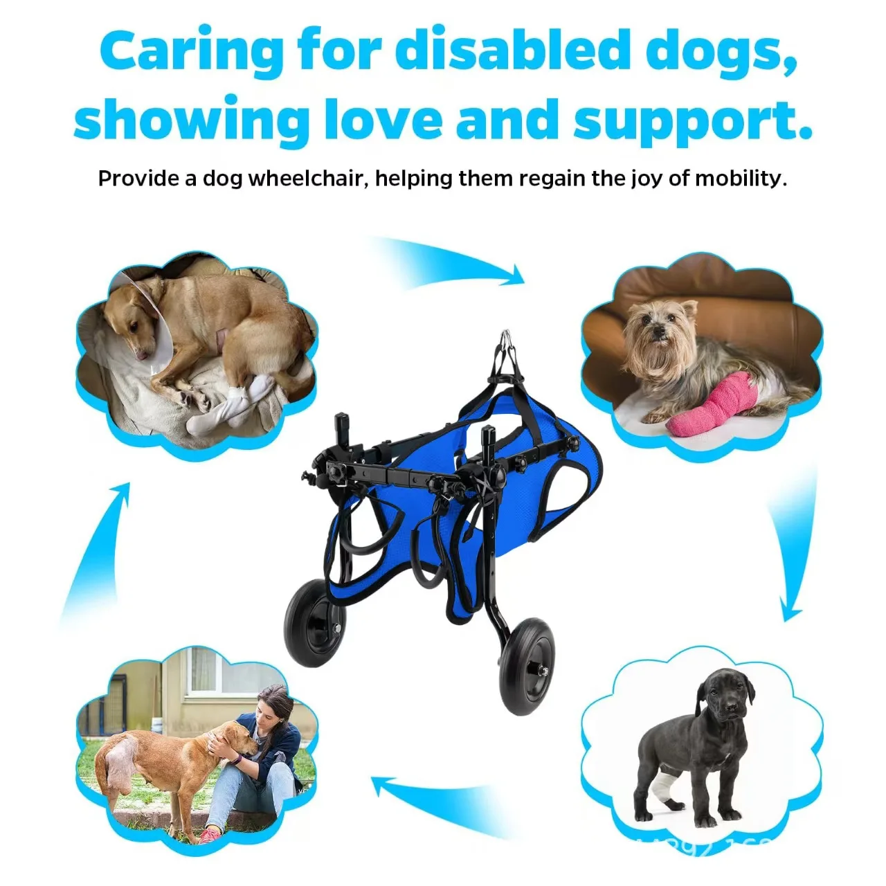 Smarsty Adjustable Dog Wheelchair - Image 5