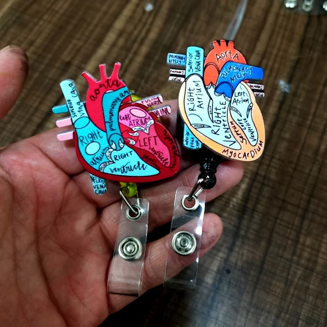 New Anatomical Heart Diagram Retractable Badge Reel Keychian, CNA