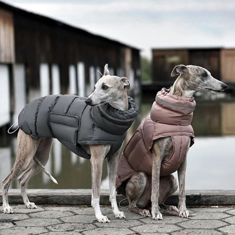Winter Warm Dog Clothes Windproof Waterproof Thick Pet Dog Down Jacket Adjustable Cotton Large Parkas Clothing Pet Supplies