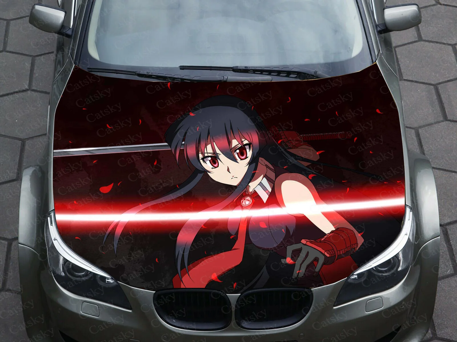 Акаме Itasha