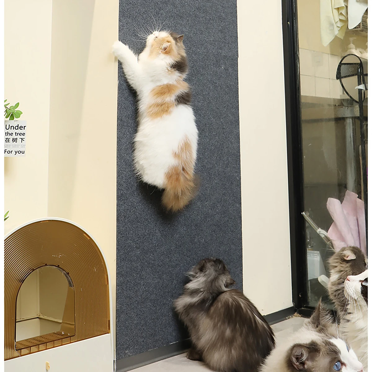 Self-Adhesive Anti-Scratch Carpet Protector
