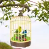 Parrot Cage  Activated  Movements Decor Singing Chirp Parakeet  Swing Toy Singing Bird for Home Desktop baby Children 3