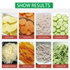 Commercial Electric Meat Cutter Desktop Multi-Function Slicer Potato Beetroot Eggplant Cutting Machine 6