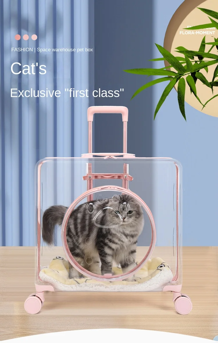 multiple cat carrier