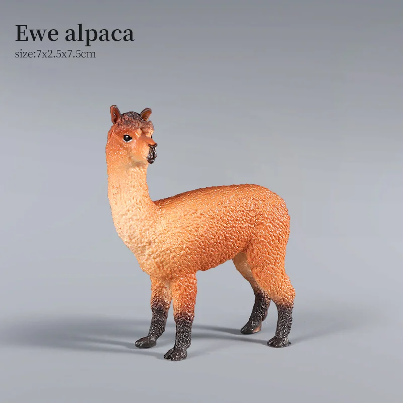 Animal-6