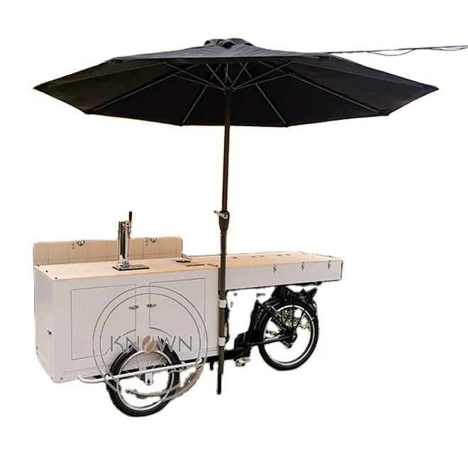 Personalizzato Reverse Ebike Electric Cargo Trike 3 Ruote Electric City Bike Bicicletta Mobile Food Carrello Chiosco In Vendita