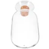 Transparent Glass Match Holder Storage Jar Wood Stopper Reliable Container Home Decor Storage Bottles Jars Match Supplies 1
