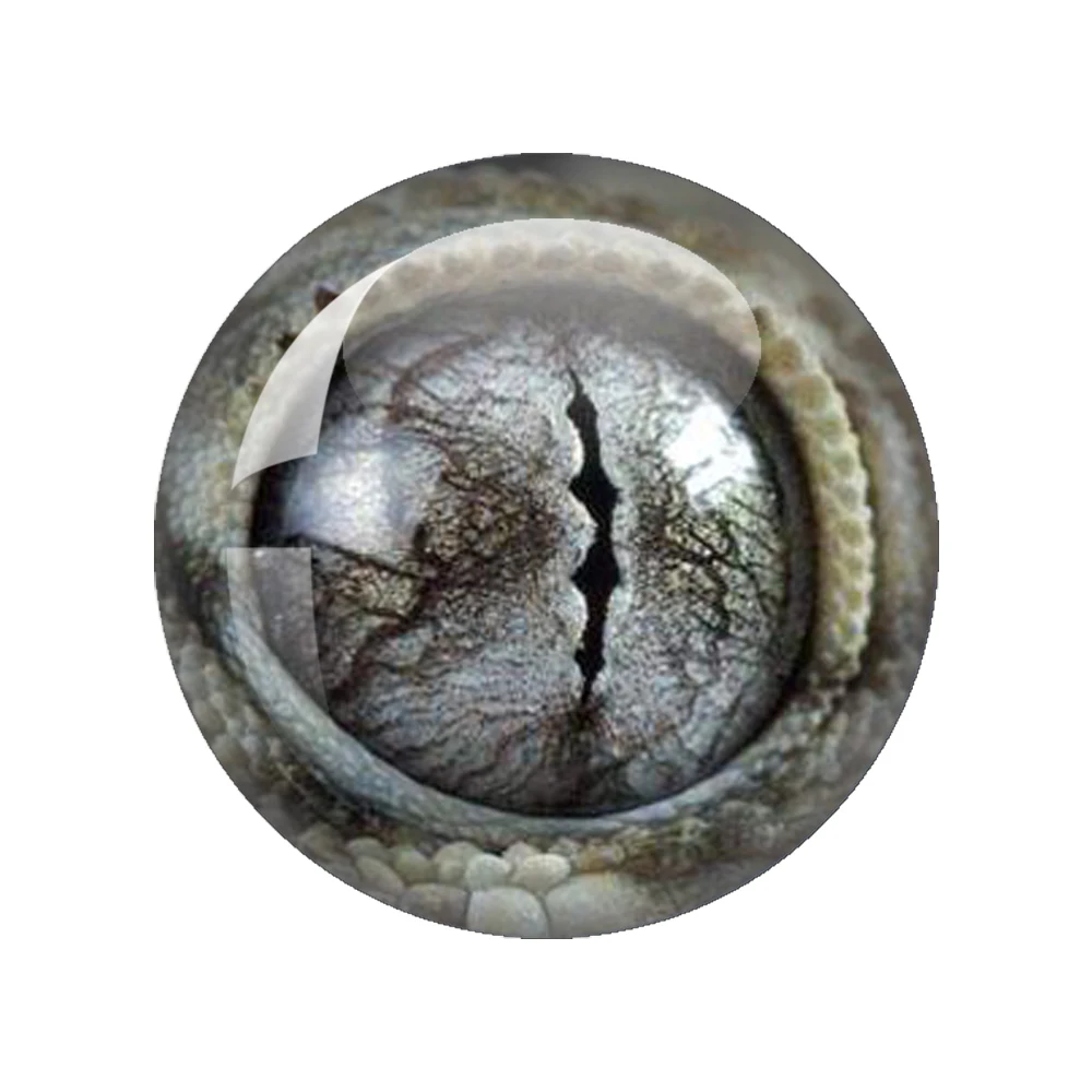 Cabujón de cristal con forma de ojo de dragón en pares, 12 mm, 16 mm, 18 mm, 20 mm y 25 mm, redondo, para fotografía, con parte trasera plana