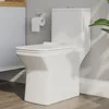 Elongated One Piece Toilet, DV-1F0072-1 Square Compact Toilets for Bathrooms, Dual Flush 1/1.6 GPF and MaP 1000g, 12'' Rough-In 1