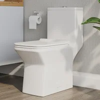 Elongated One Piece Toilet, DV-1F0072-1 Square Compact Toilets for Bathrooms, Dual Flush 1/1.6 GPF and MaP 1000g, 12'' Rough-In 1