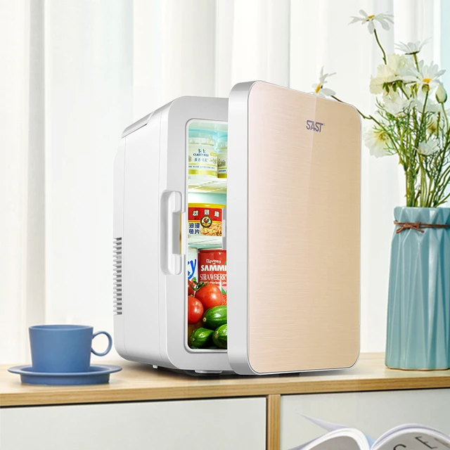 Portable Mini Fridge 12L Car Refrigerator Freezer Cooler Home Car Use  Skincare Cosmetic Storing Case Food Drink Nevera - AliExpress