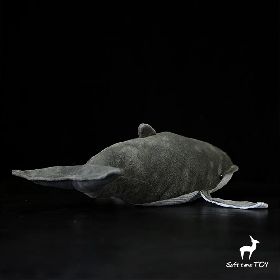 Blue Whale High Fidelity Anime Cute Plushie Baleen Whale Plush Toys Lifelike Animals Simulation Stuffed Doll Kawai Toy Gifts Kid 3