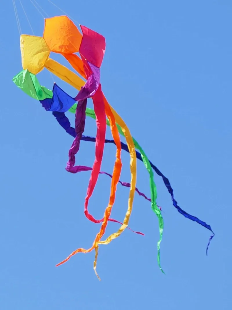600 cm Regenbogendrachen, Windsack, Drachen fliegen, große Drachen, Erwachsenen-Drachenrolle, Ripstop-Nylon-Drachen, Winddrachen, Fledermausdrachen, Schwänze, Drachenrolle, Spaß – Detail 3