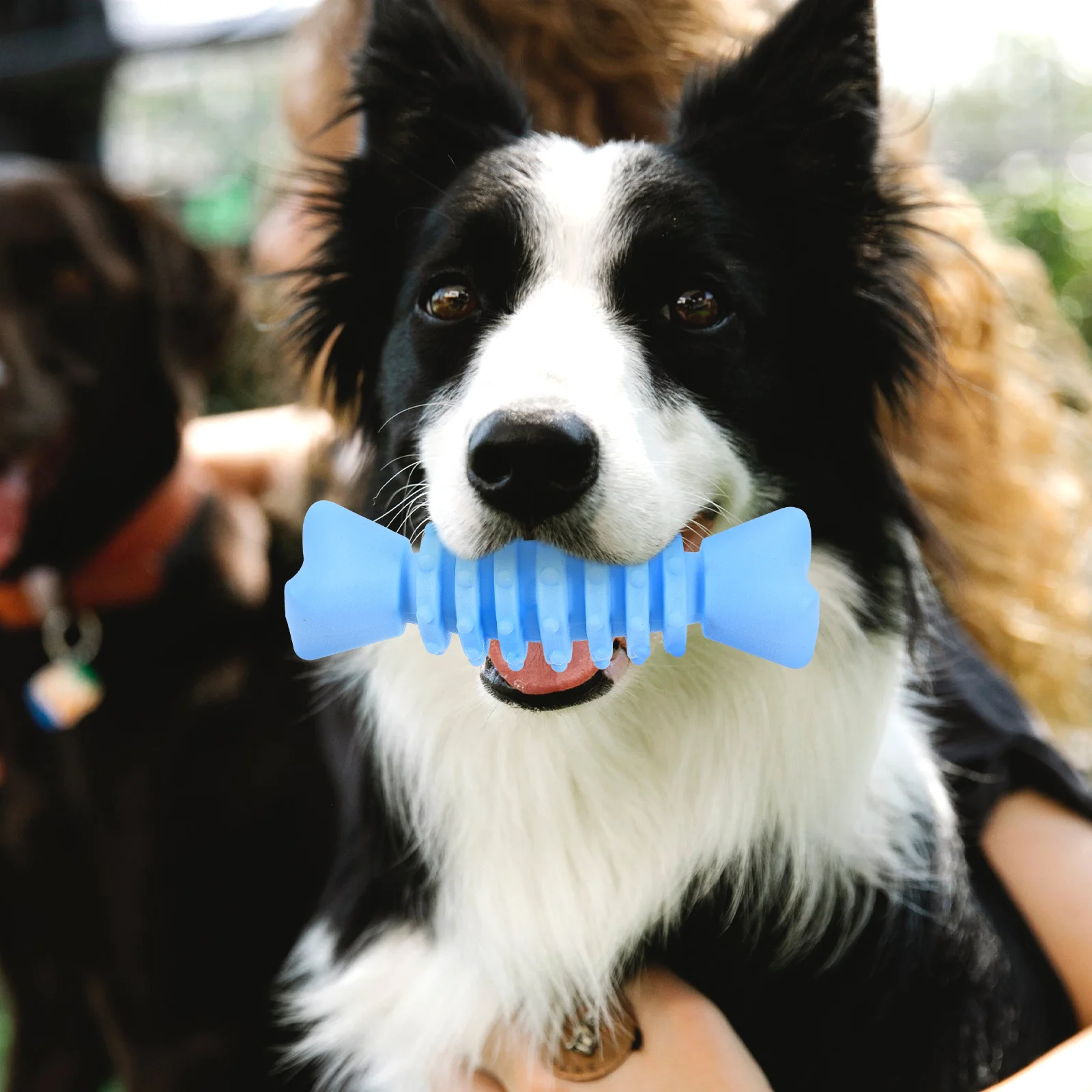 

Dog Teething Toy for Playing Toys Medium Dogs Molar Pets Interactive Small Squeaky Tpr