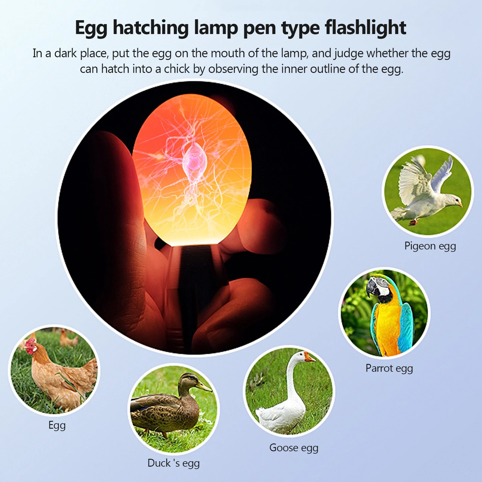 Egg candler incubator egg tester high intensity cool LED light candling lamp rechargeable monitor embryo development