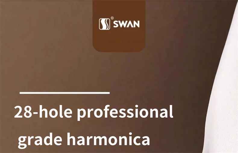 Harmonica 28 holes in key of C  with case for beginners adults professionals students friends gifts