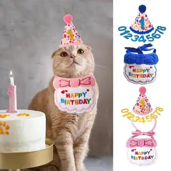 Festive Pet Birthday Hat 1
