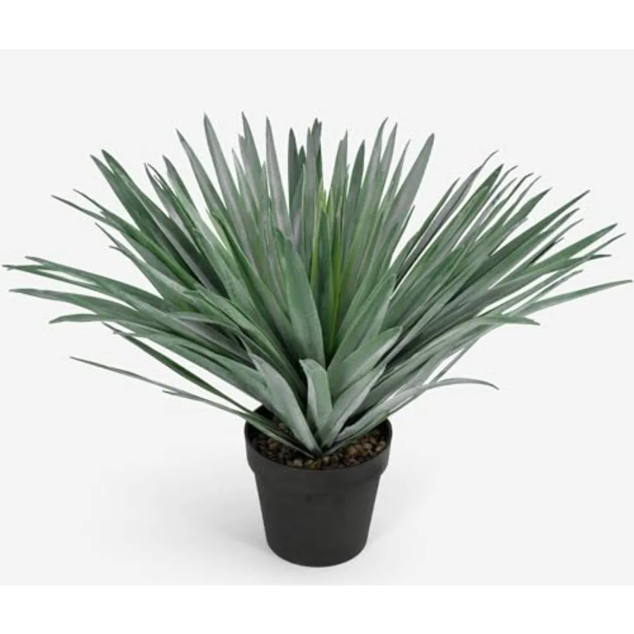 description
