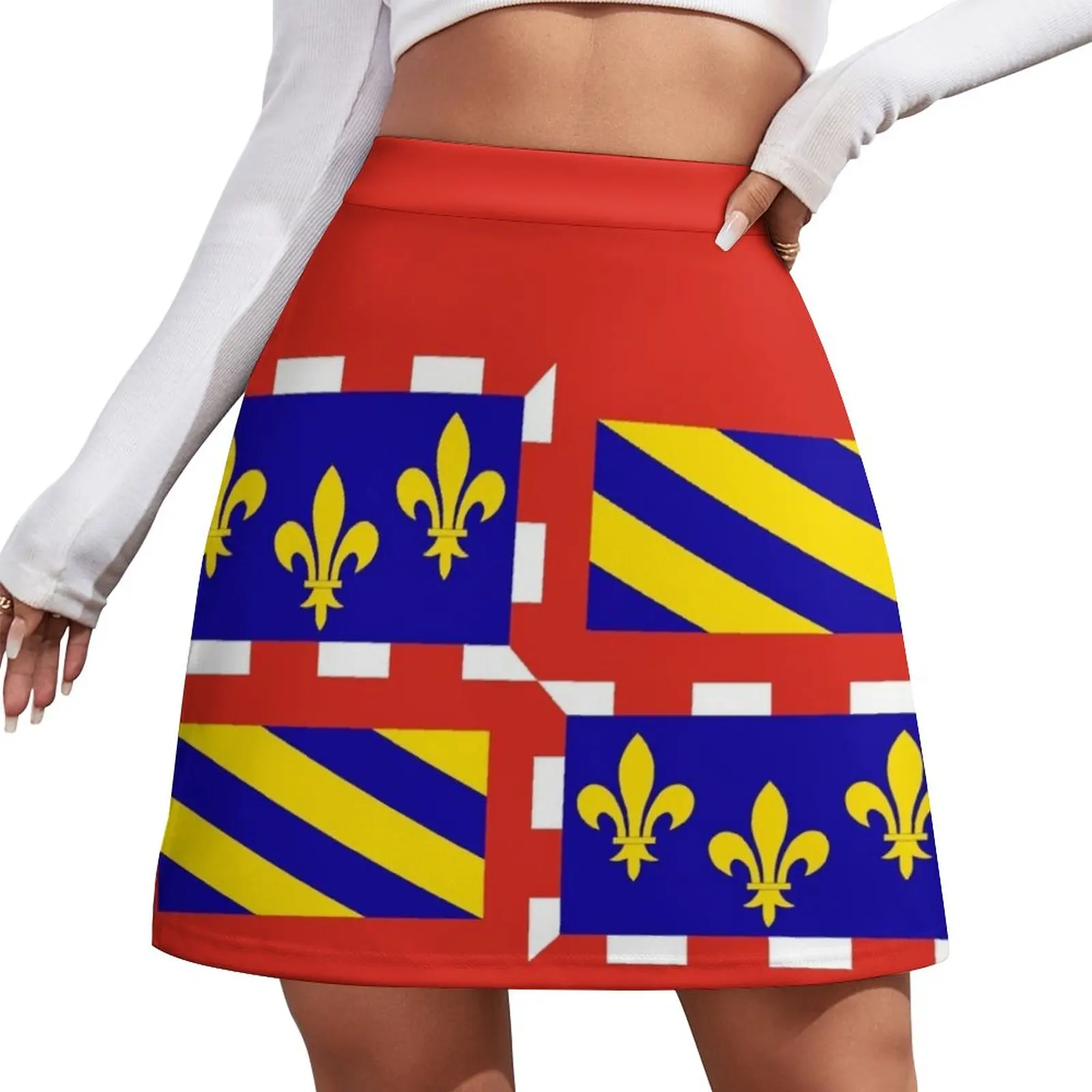 Flag of Bourgogne France Mini Skirt mini skirts korean style clothes women 2023 modest skirts for women skirt for women