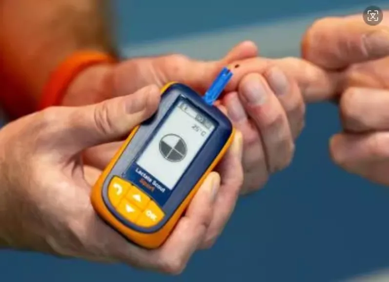 EKF New Handheld Fast Blood Lactate Scout Sport Detector Meter Lactic Test Strip