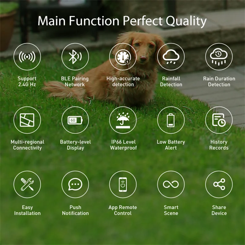 Tuya Smart WiFi Wireless Rain Sensor Outdoor - IP65 Waterproof Battery-Powered D