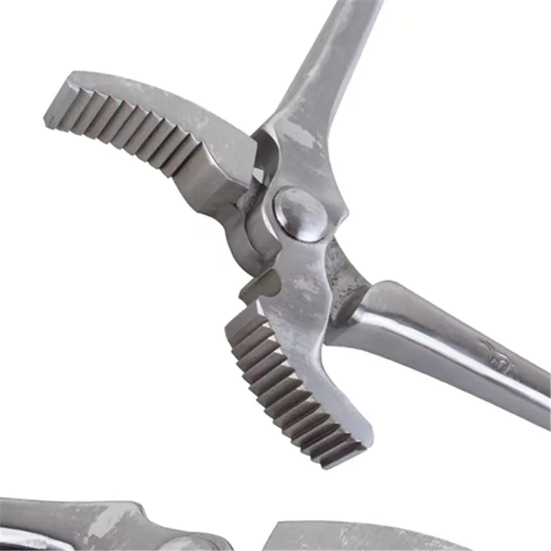 14" March Clincher, Farrier Tools, Horseshoes Repairing Tools, Horse Equipment, Horse Accessories 4