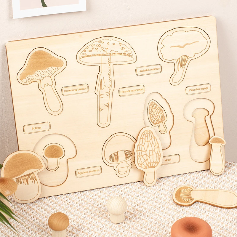 Montessori Dinosaur Mushroom Wooden Puzzles Life Cycle Toy Plant Growth Cycle Science Teaching Aids Learning Education Toys Gift 5
