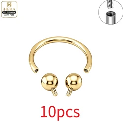 Wholesale Pack: Premium Titanium Body Jewelry Collection - Eyebrow, Lip, Septum & Nose Rings ((16G)1.2X6X4mm)
