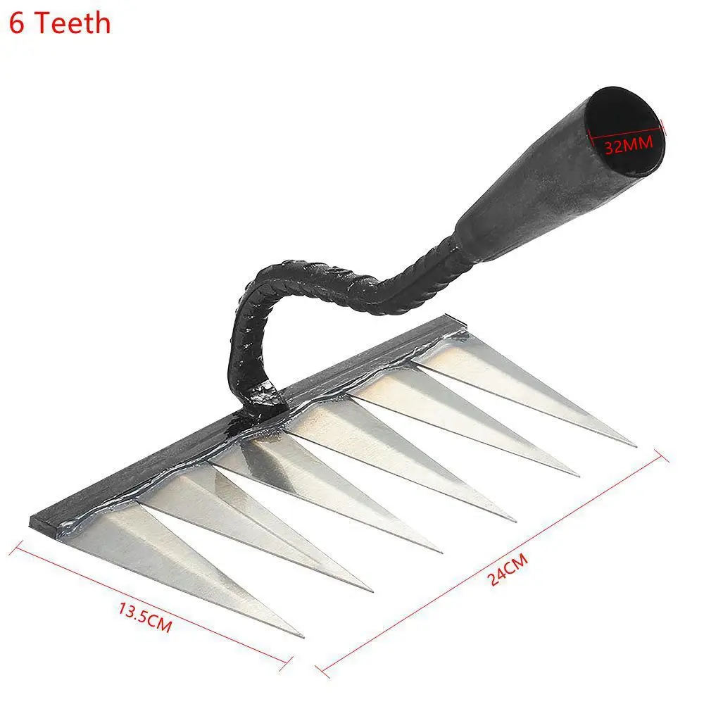 6 Teeth