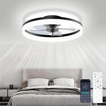 Ceiling Fan Light 1