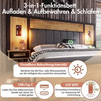 Двуспальная кровать с мягкой обивкой, лампой для чтения и USB C, скамейка с местом для хранения вещей, каркас кровати с металлом, деревом (без матраса) — изображение 5