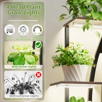 Curved Shape multi-functional metal display stand for plants