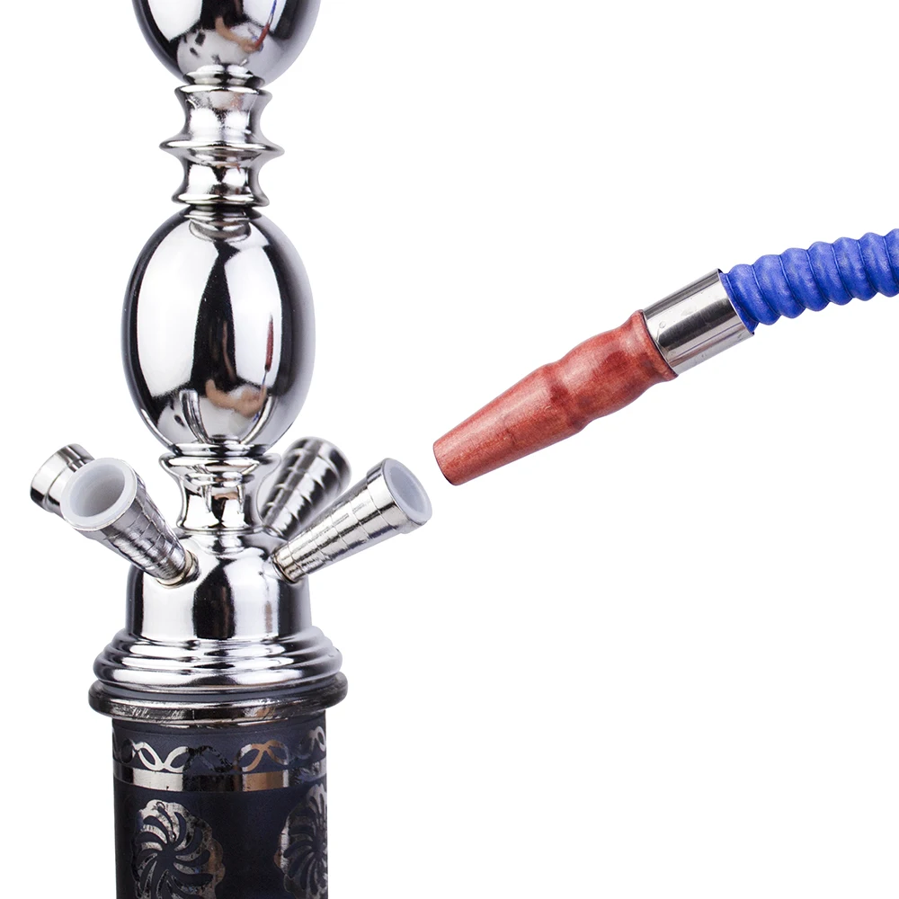  GSTAR 18 4 Hose Hookah Shisha Complete Set - Metallic Da Vinci  Glass Vase - Pick Your Color (Anatomia Red) : Health & Household