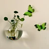 Glass Vase Wall Hanging Hydroponic Terrarium Fish Tanks Potted Plant Flower pot 1