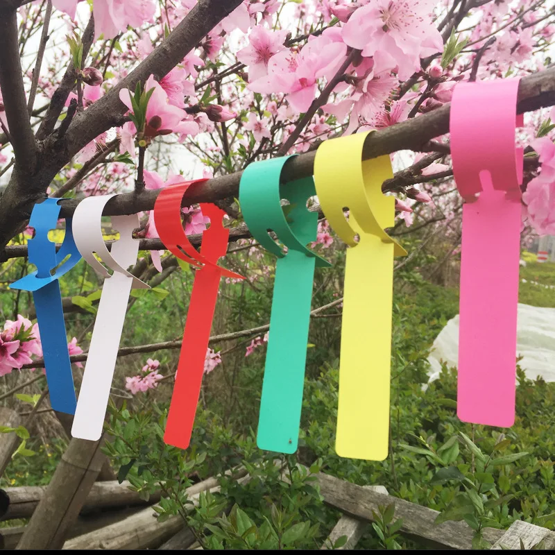

100PCS Gardening Garden Plant Nursery Hang Tag Plastic Identification Card Waterproof Ring Set Reusable Label Markers Tool