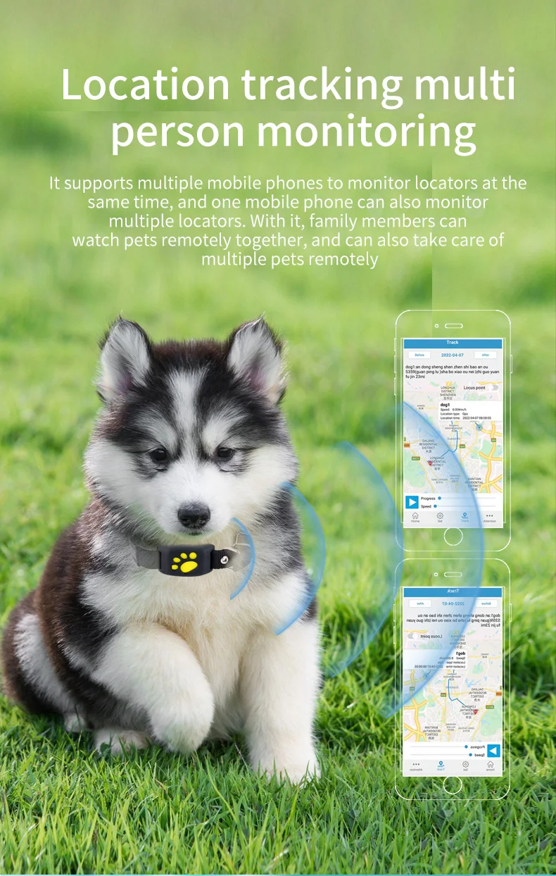 Pet GPS Tracking Collar, Cães e gatos,