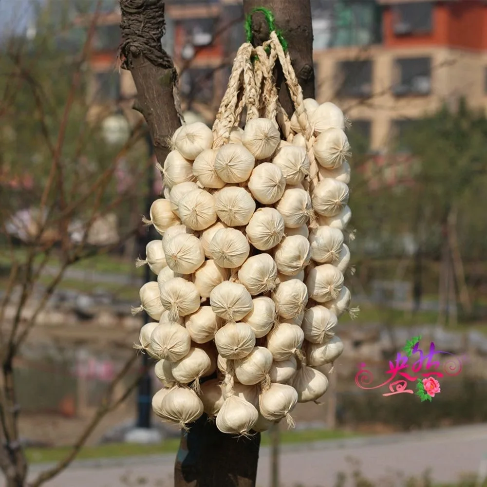 Onion Garlic Red Pepper Kitchen Decoration Fake Vegetables Photography Props Artificial Vegetables Simulation Food