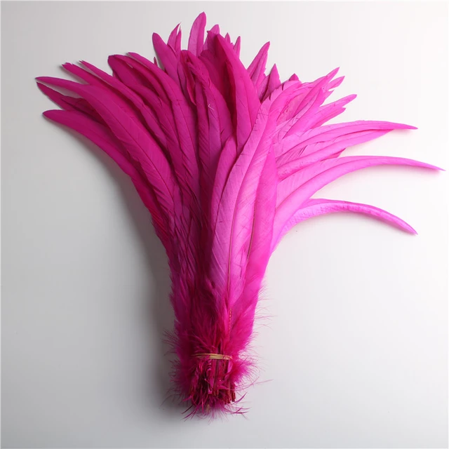 100pcs 25-40CM /10-16inch Rooster Tail Feathers Bulk Natural Plumes Large  Pheasant Cock Clothing Jewelry Accessories Party Decor - AliExpress