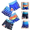 Boys Swim Trunks Toddler Swim Shorts Quick Drying Swimming Boxer Briefs Cute Dinosaur Shark Print Children's Swimwear Swimsuit 1