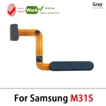 M31s Gray