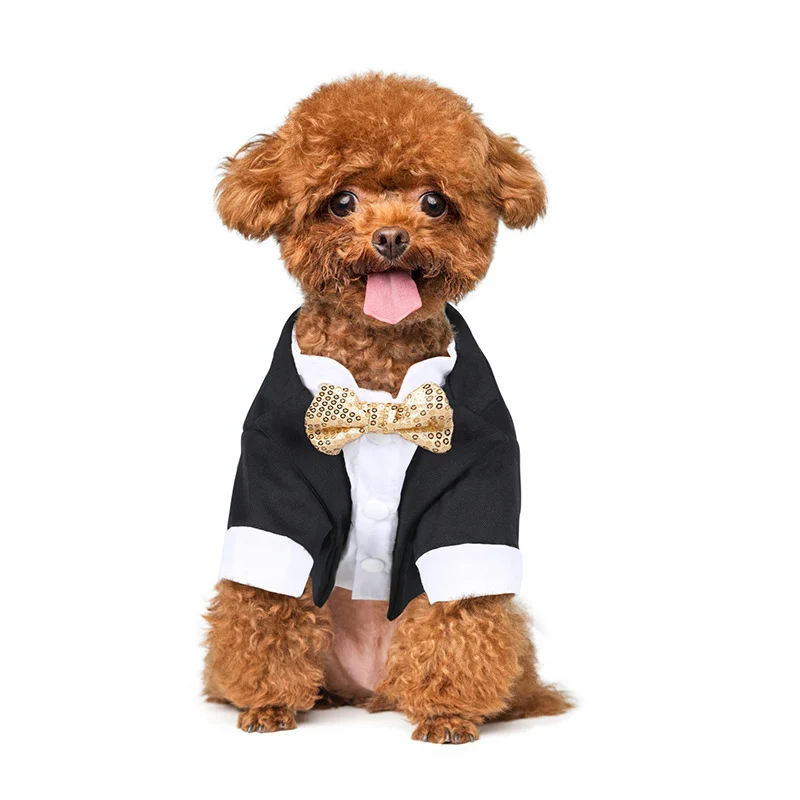 Abito da cerimonia formale per cani piccoli con papillon_voghion.com