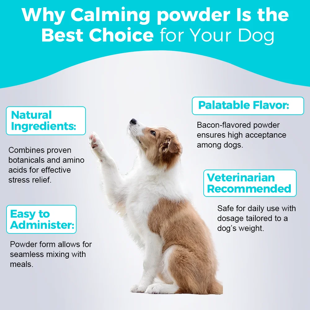 Calming Powder for Dogs Reduces Anxiety Stress and Promotes Relaxation
