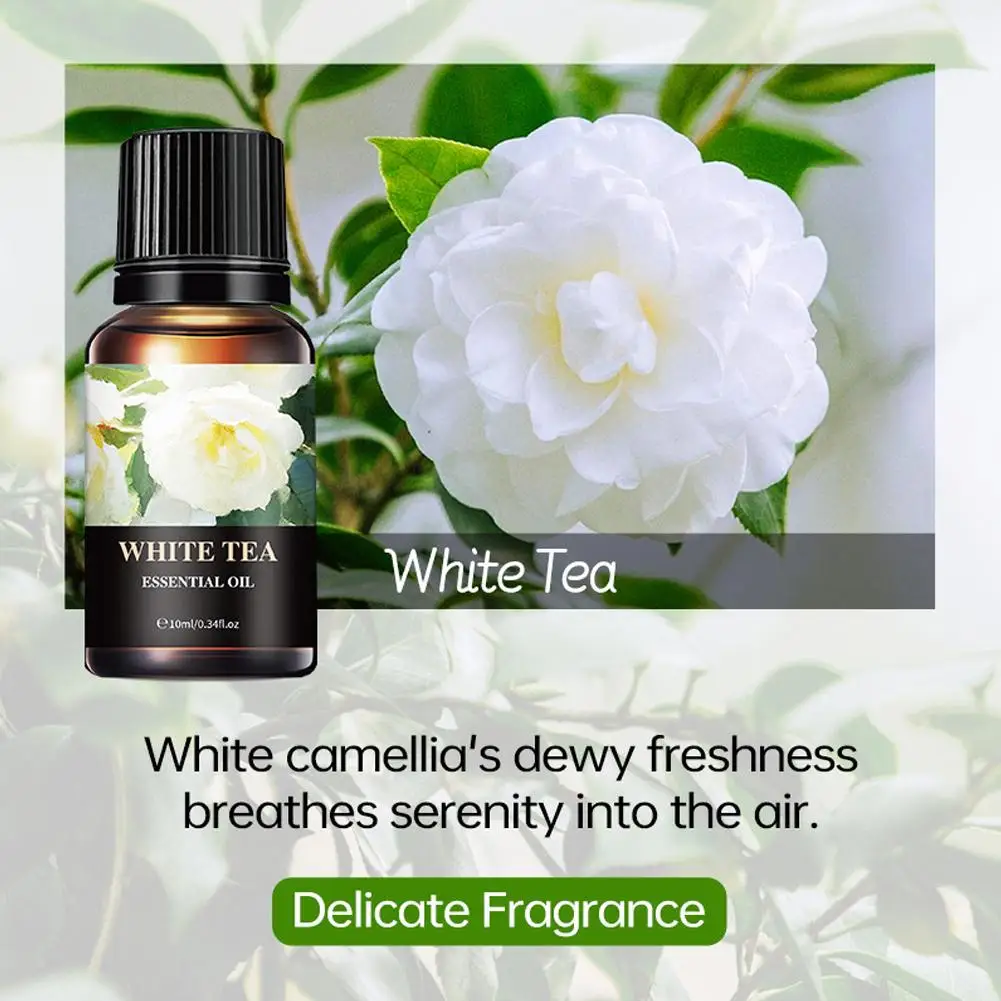 Aromatic Bliss Essential Oil Blend - 10ml Eucalyptus, Lavender, Bergamot, Vanilla, and Peppermint