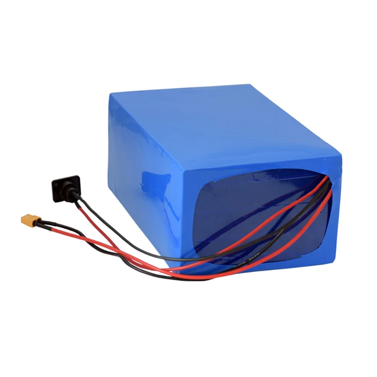 Citycoco 스쿠터 배터리 800w, 60v 12ah 리튬 이온 팩