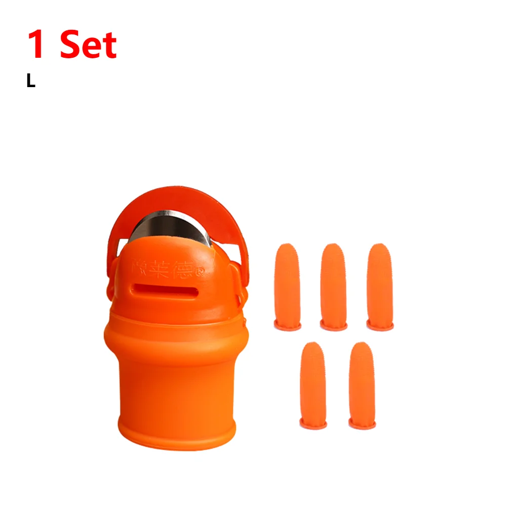 L 1 Sets