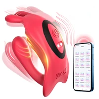 App Tragbarer Höschenvibrator für Paare, Frauen, Sexspielzeug für Erwachsene, Fern-Kaninchen-Stimulator für G-Punkt, Klitoris, Penisvergnügen