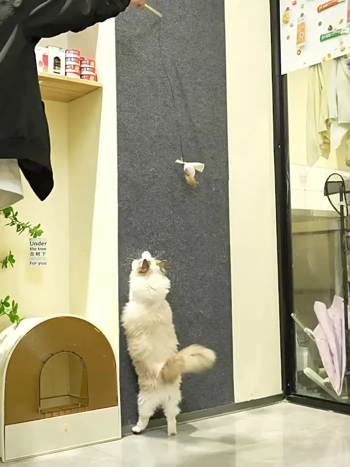Самоклеящийся коврик для кошек