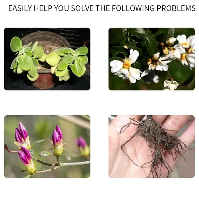 Növényi Folyékony Műtrágya Koncentrált Sajtolás Típusú Bonsai Megtermékenyítés 50 Ml -Es Gyümölcsnövekedés - Image 2