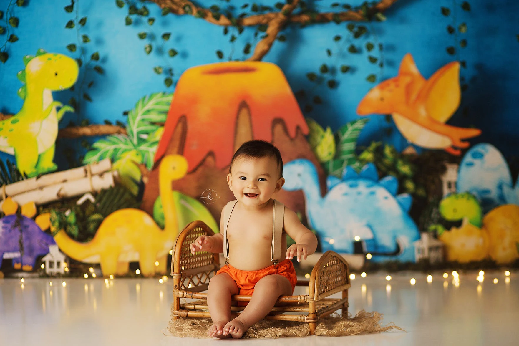 Dinosaur Park Backdrop Kids Baby Birthday Cake Samsh Props Child Adult Photocall Decors Photostudio Dinosaurs Background photo backdrop