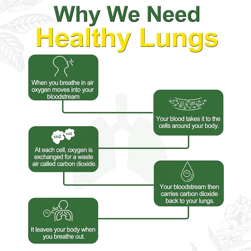 Mullein Leaf Extract Lung Detox Capsules Organic Mullein Extract Capsules Suitable For Lung & Bronchial Cleanse for Smokers Respiratory Health Support Gut Health